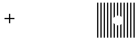 illusion blind spot 02.gif